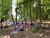 Im_Wald