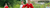 20220708_Elternforum_Bild_OrganiationundVortraege